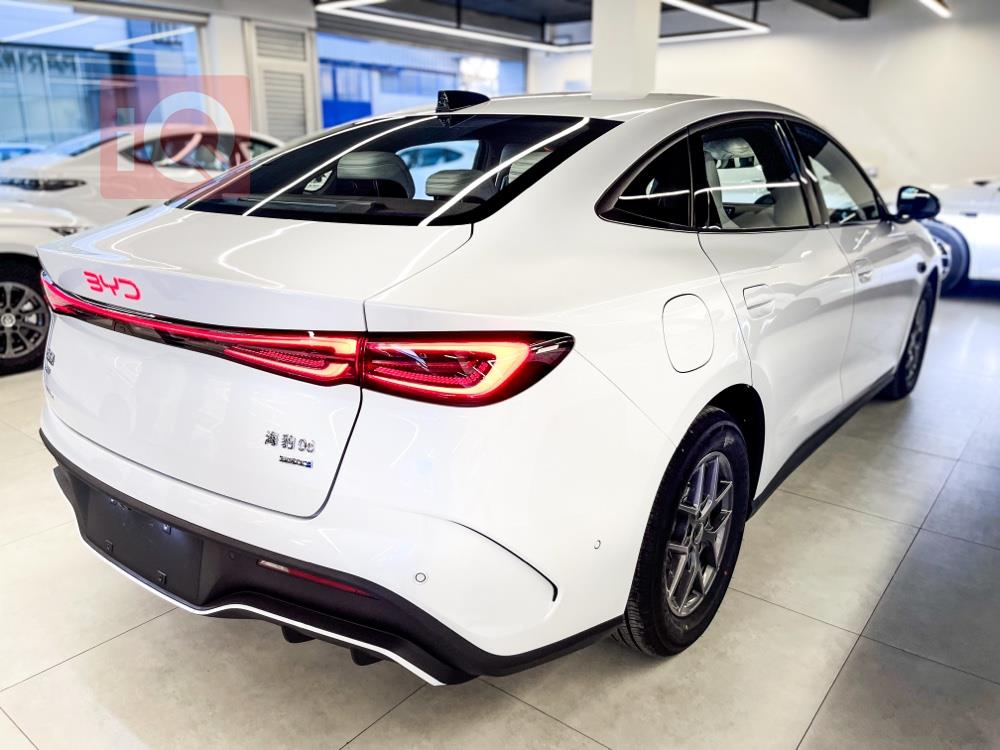 بی وای دی سيل 06 DM-i